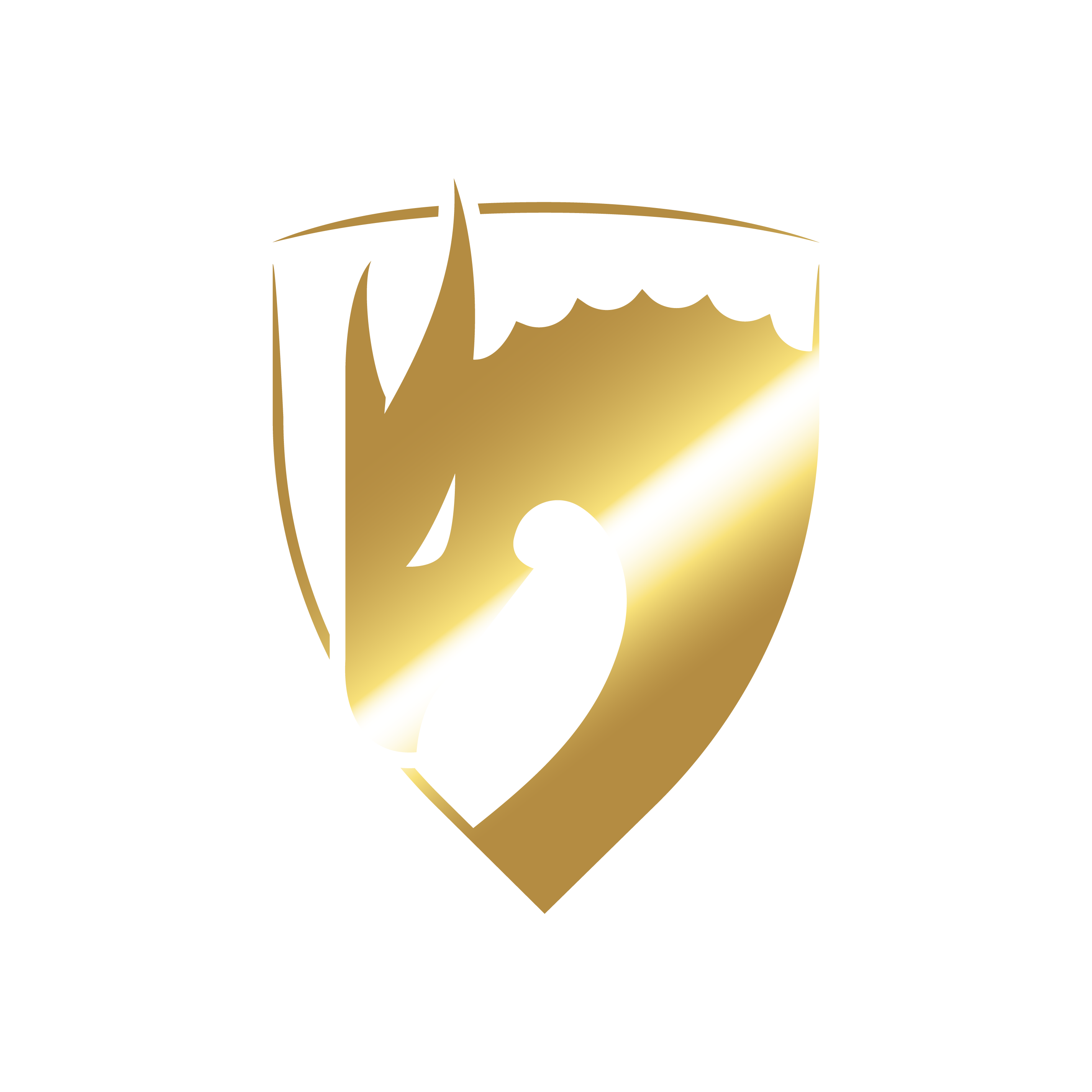 Volante
